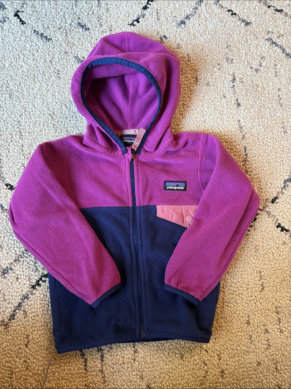 Patagonia Fleece Hoodie 2T EUC